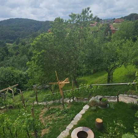 Villa Zidanica Muhic à Dolenjske Toplice Extérieur photo