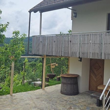 Villa Zidanica Muhic à Dolenjske Toplice Extérieur photo