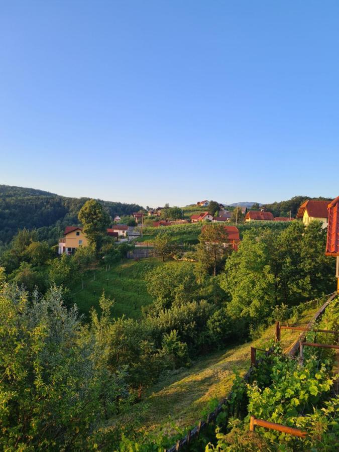 Villa Zidanica Muhic à Dolenjske Toplice Extérieur photo