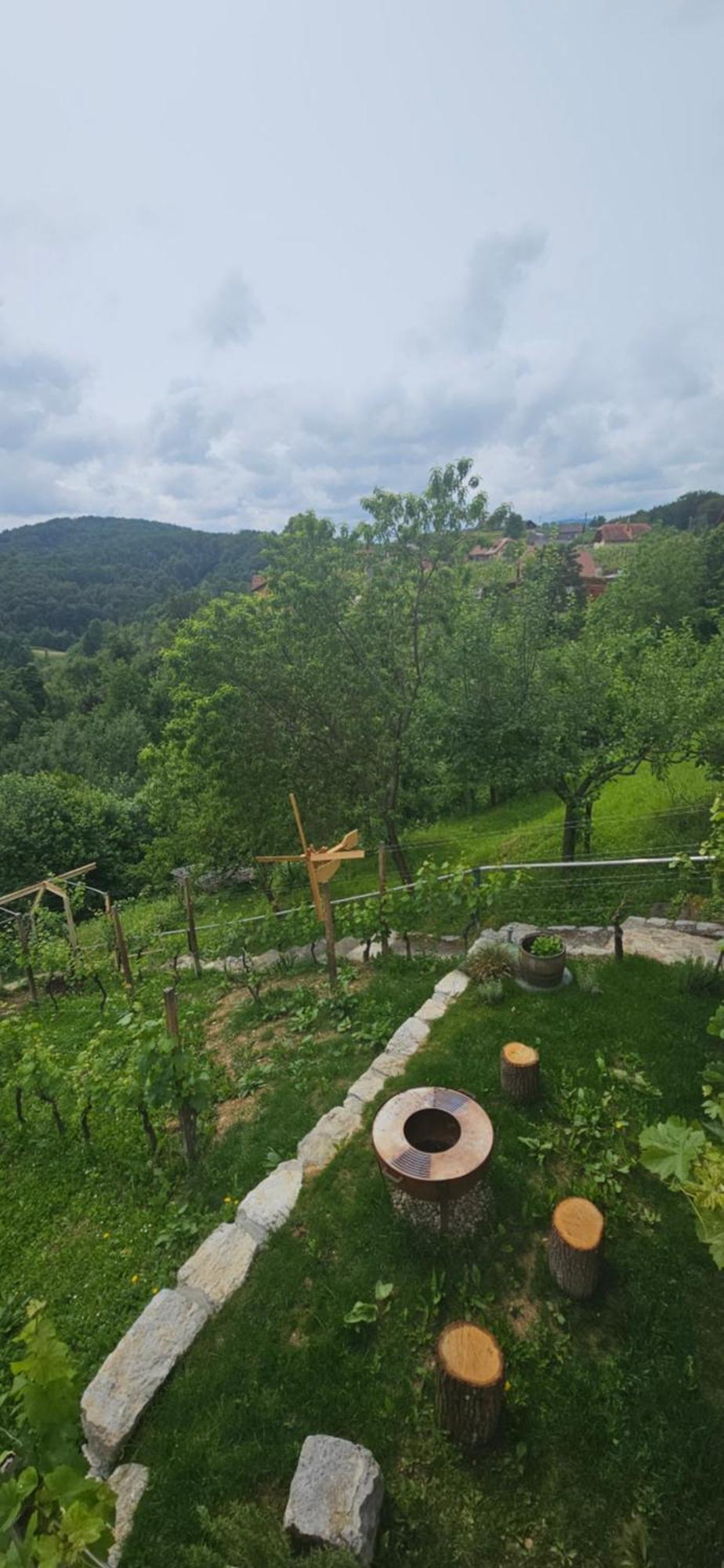 Villa Zidanica Muhic à Dolenjske Toplice Extérieur photo